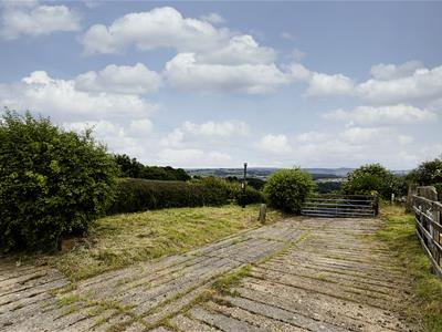 Picture 45